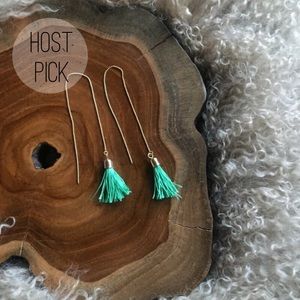 Trendy Tassel Earrings